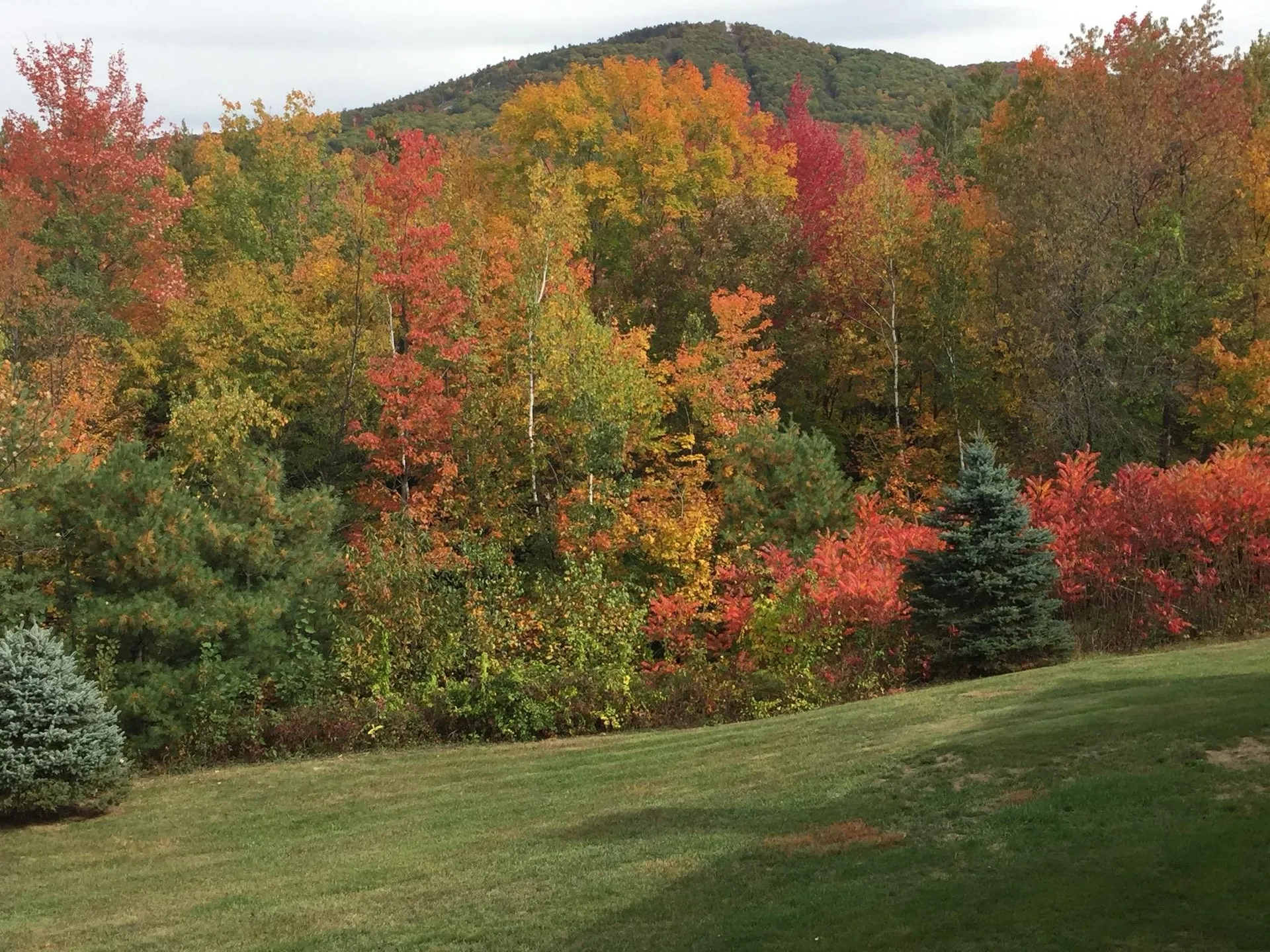 39 Northface Circle Conway NH 03860