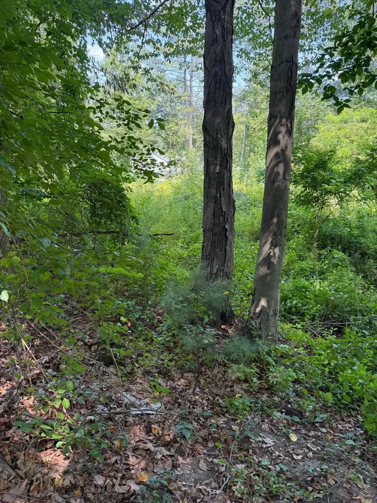 2 Shore Drive Goffstown NH 03045