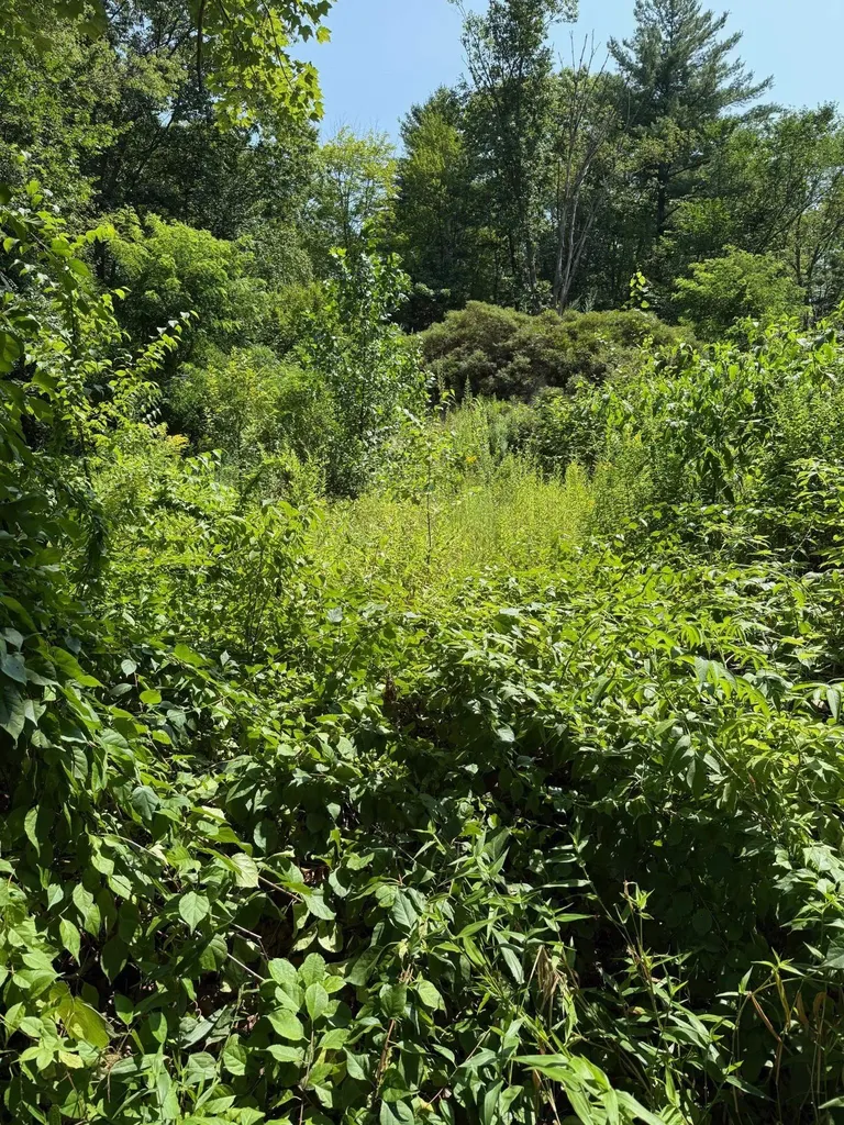 2 Shore Drive Goffstown NH 03045