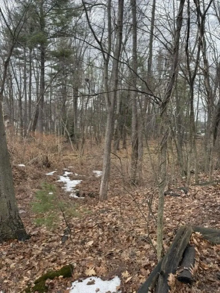 2 Shore Drive Goffstown NH 03045