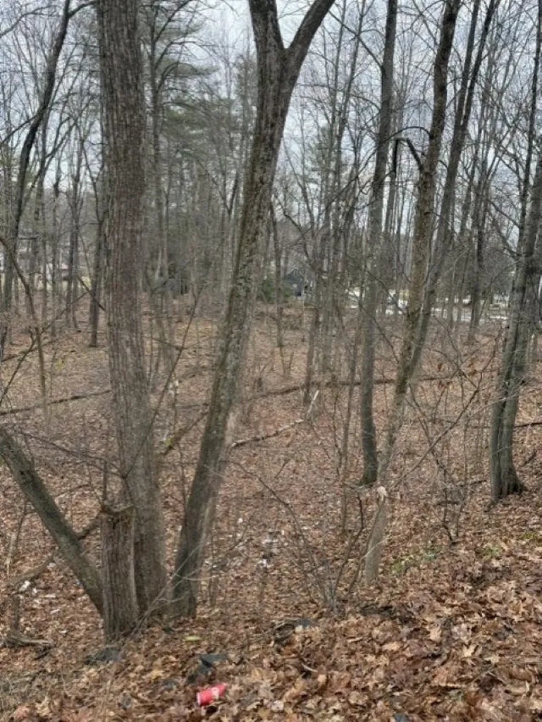 2 Shore Drive Goffstown NH 03045