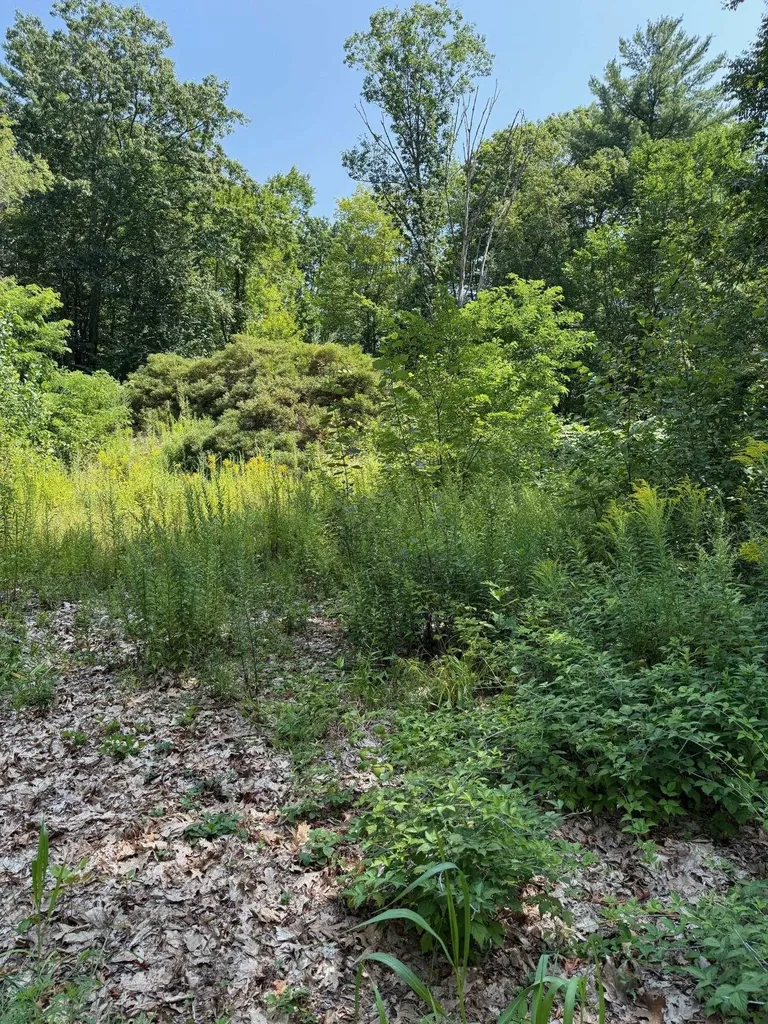 2 Shore Drive Goffstown NH 03045