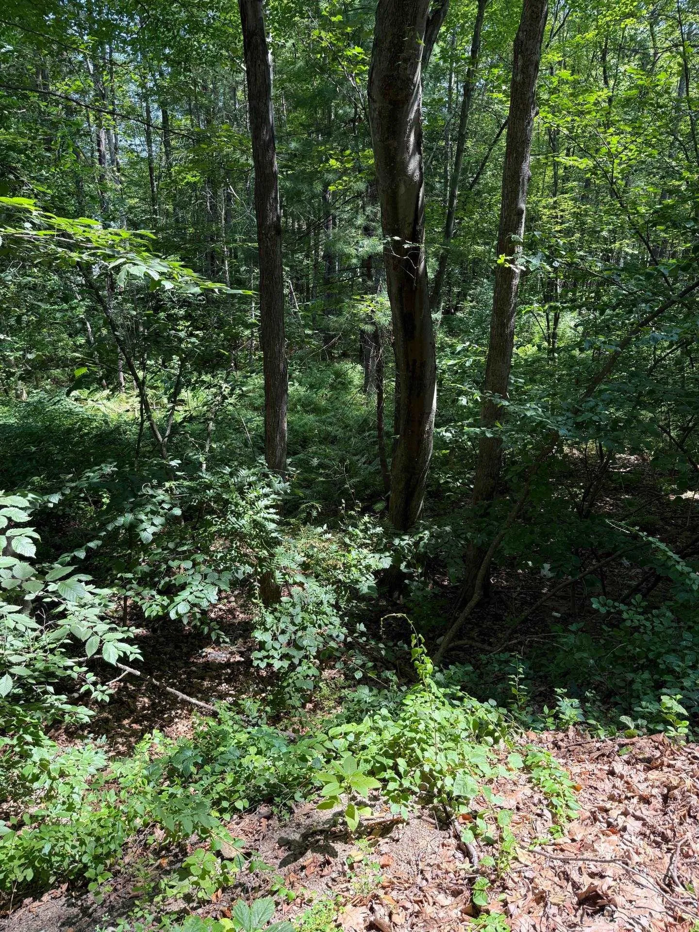 2 Shore Drive Goffstown NH 03045