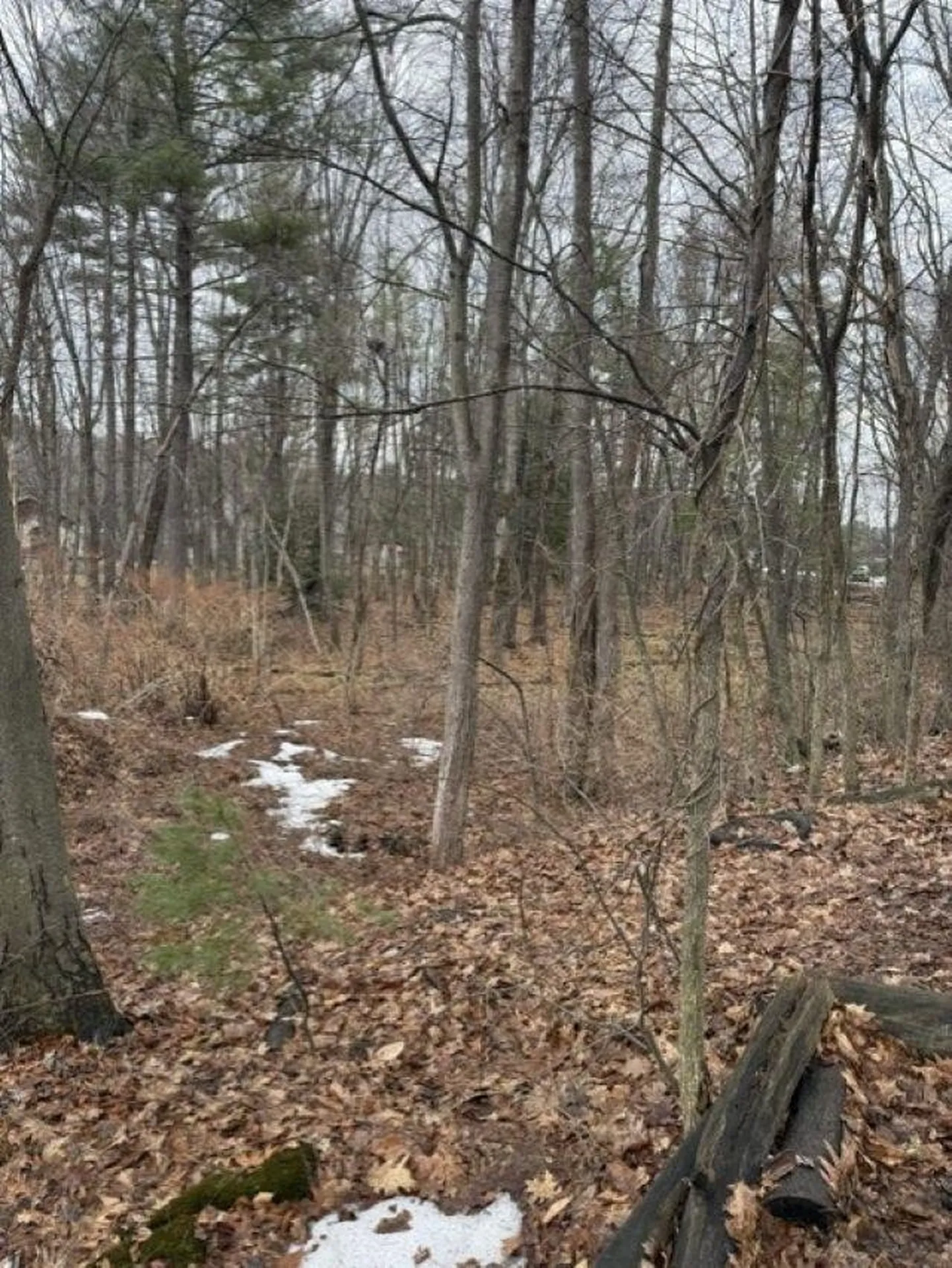 2 Shore Drive Goffstown NH 03045