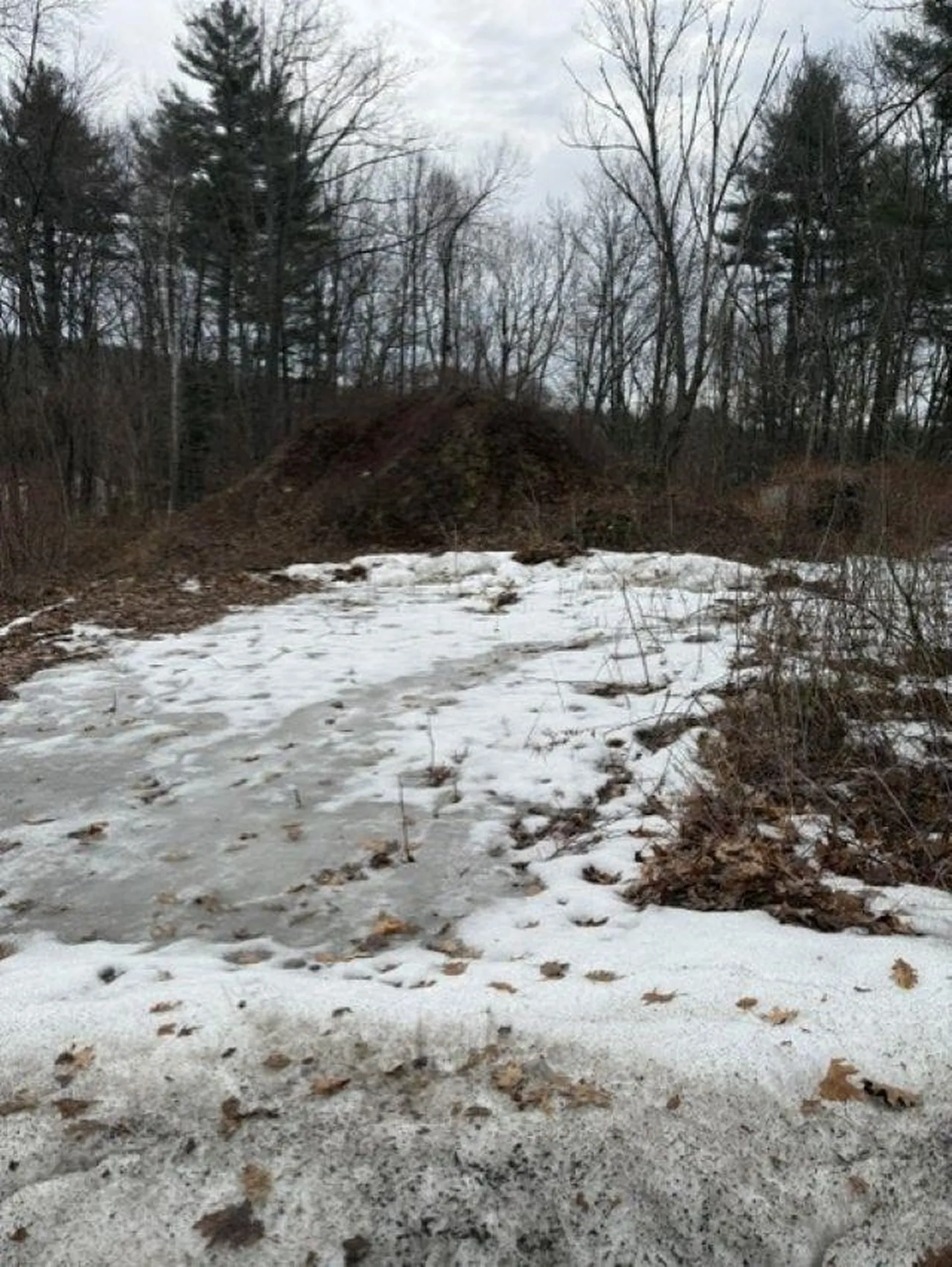 2 Shore Drive Goffstown NH 03045