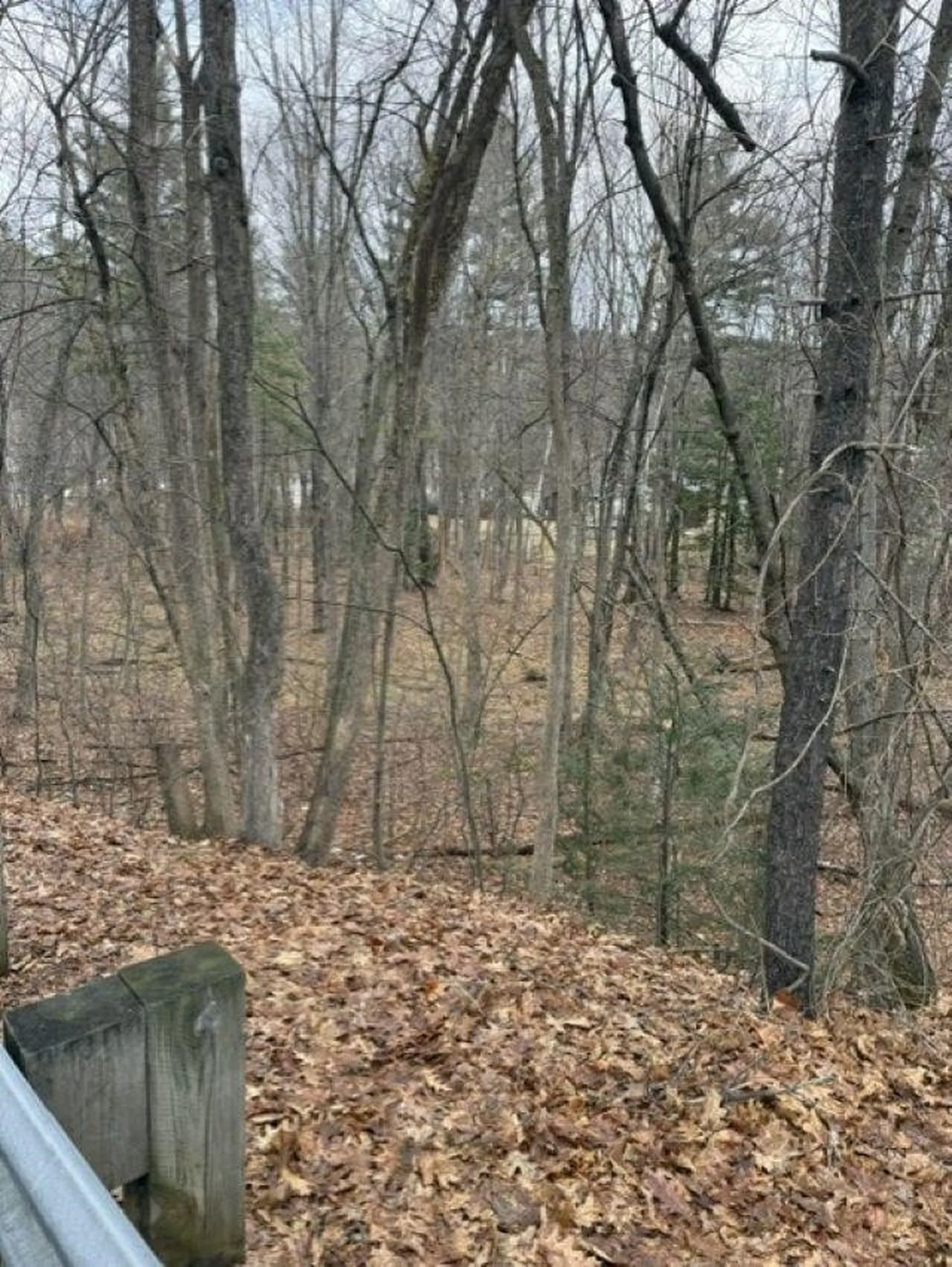 2 Shore Drive Goffstown NH 03045