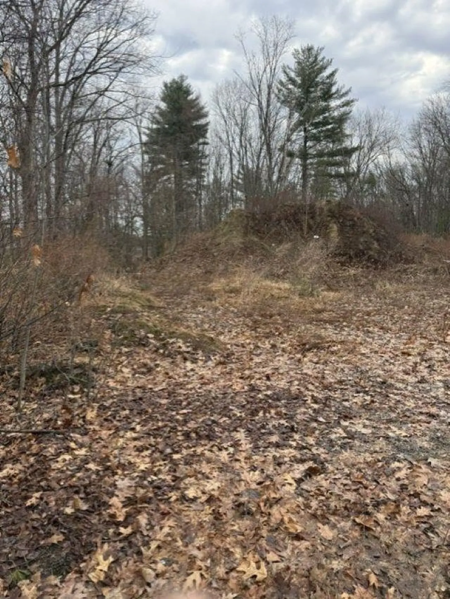 2 Shore Drive Goffstown NH 03045