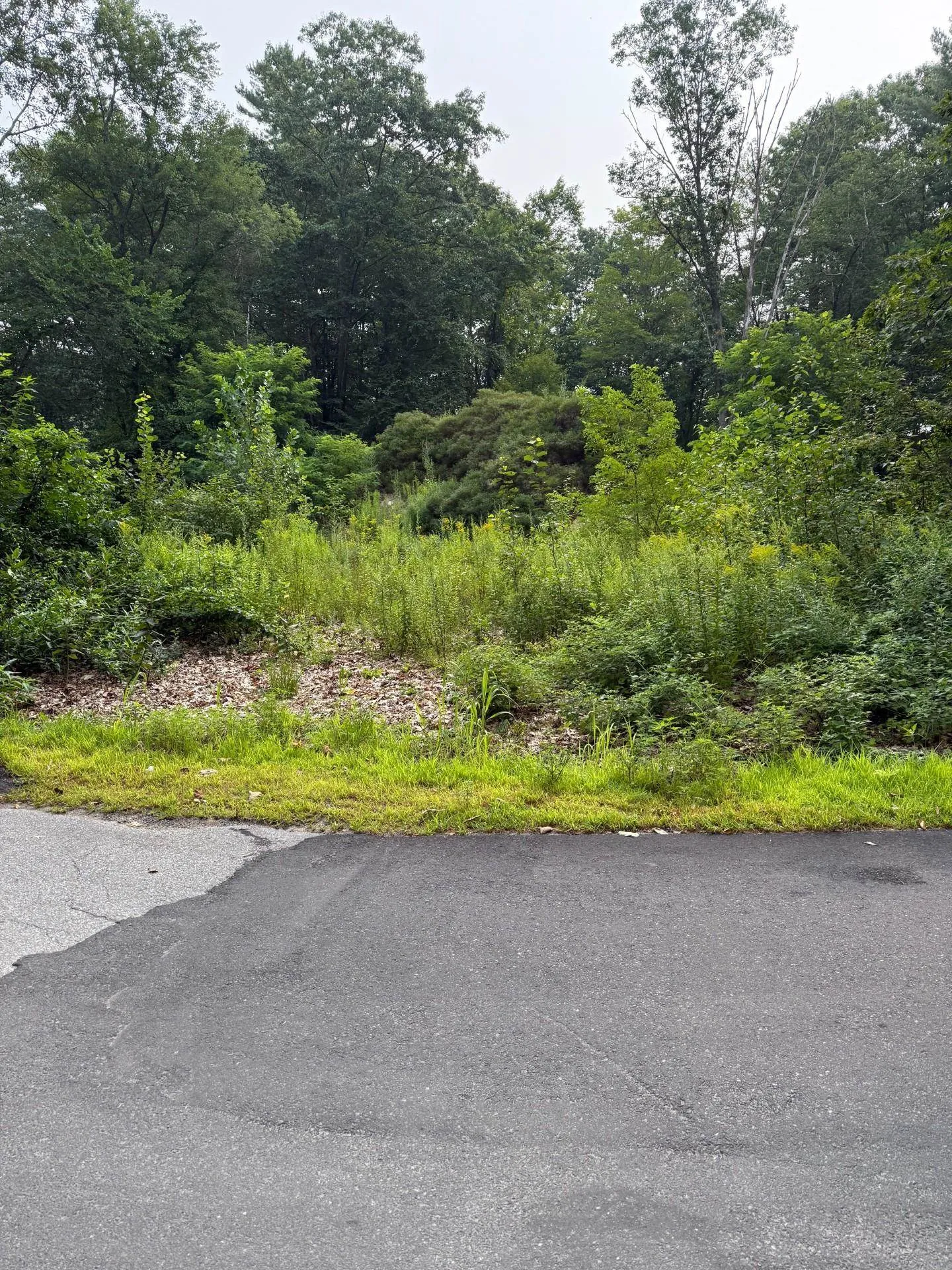 2 Shore Drive Goffstown NH 03045