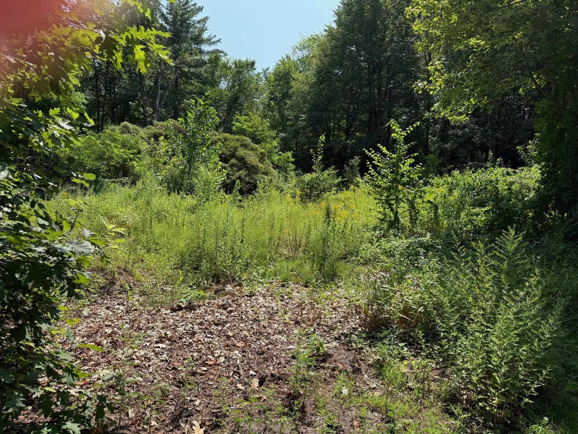 2 Shore Drive Goffstown NH 03045