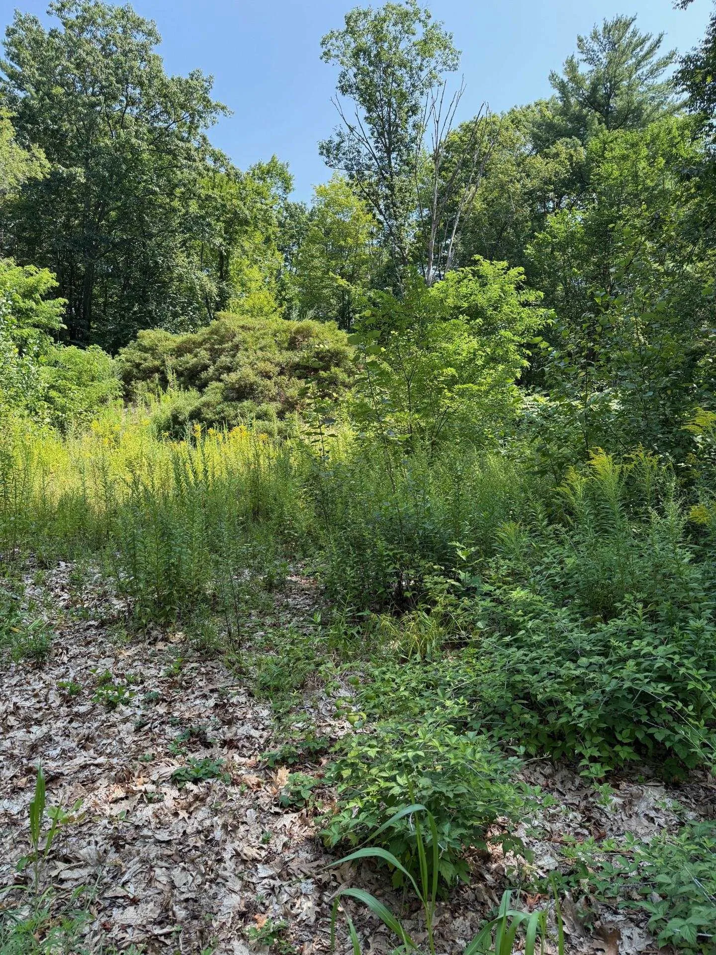 2 Shore Drive Goffstown NH 03045