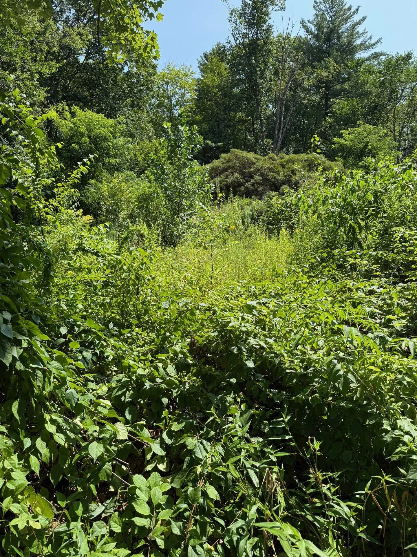 2 Shore Drive Goffstown NH 03045