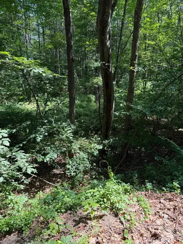 2 Shore Drive Goffstown NH 03045