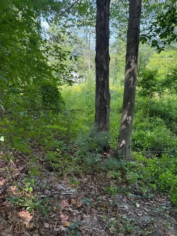 2 Shore Drive Goffstown NH 03045