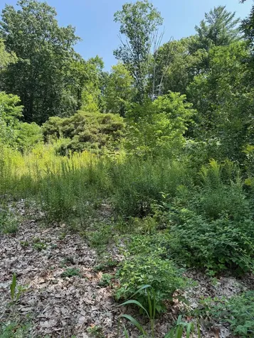 2 Shore Drive Goffstown NH 03045