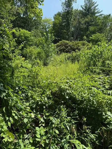 2 Shore Drive Goffstown NH 03045