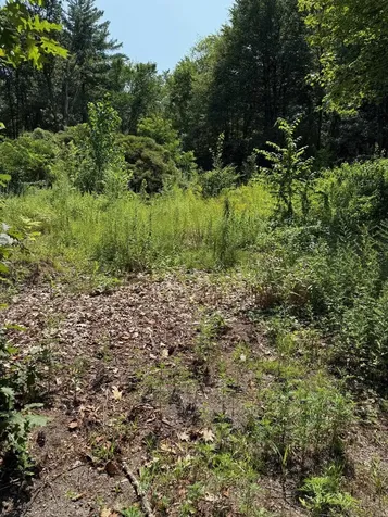 2 Shore Drive Goffstown NH 03045