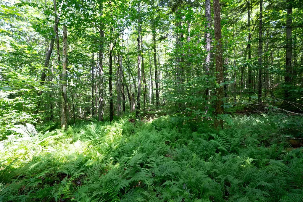 00 Markham Lane Weston VT 05161