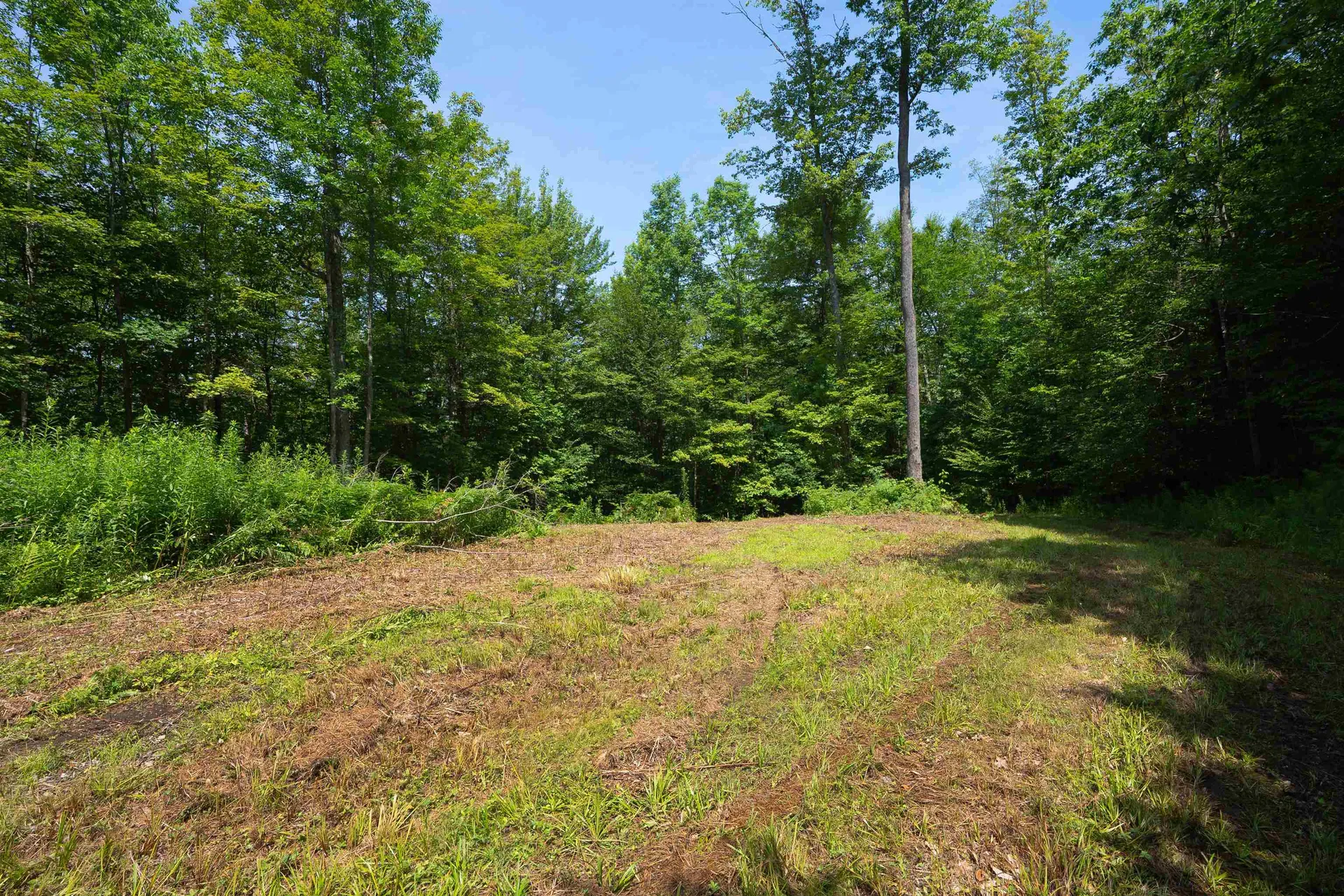 00 Markham Lane Weston VT 05161