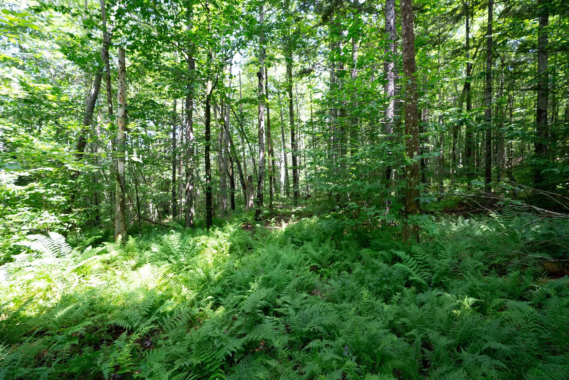 00 Markham Lane Weston VT 05161