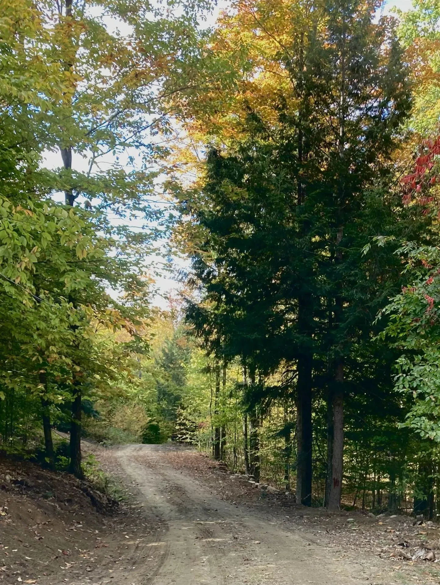 00 Markham Lane Weston VT 05161