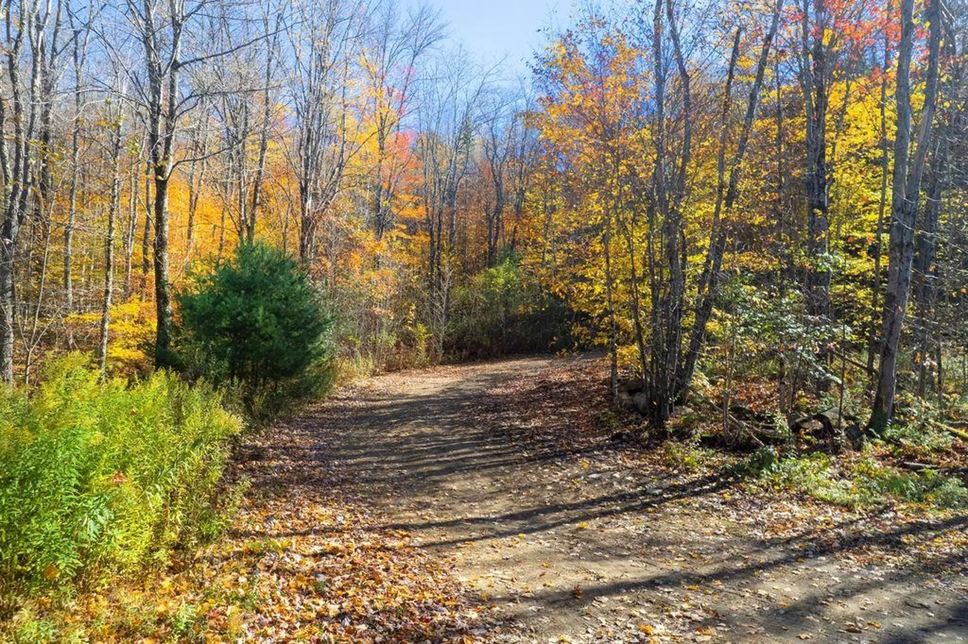 00 Markham Lane Weston VT 05161