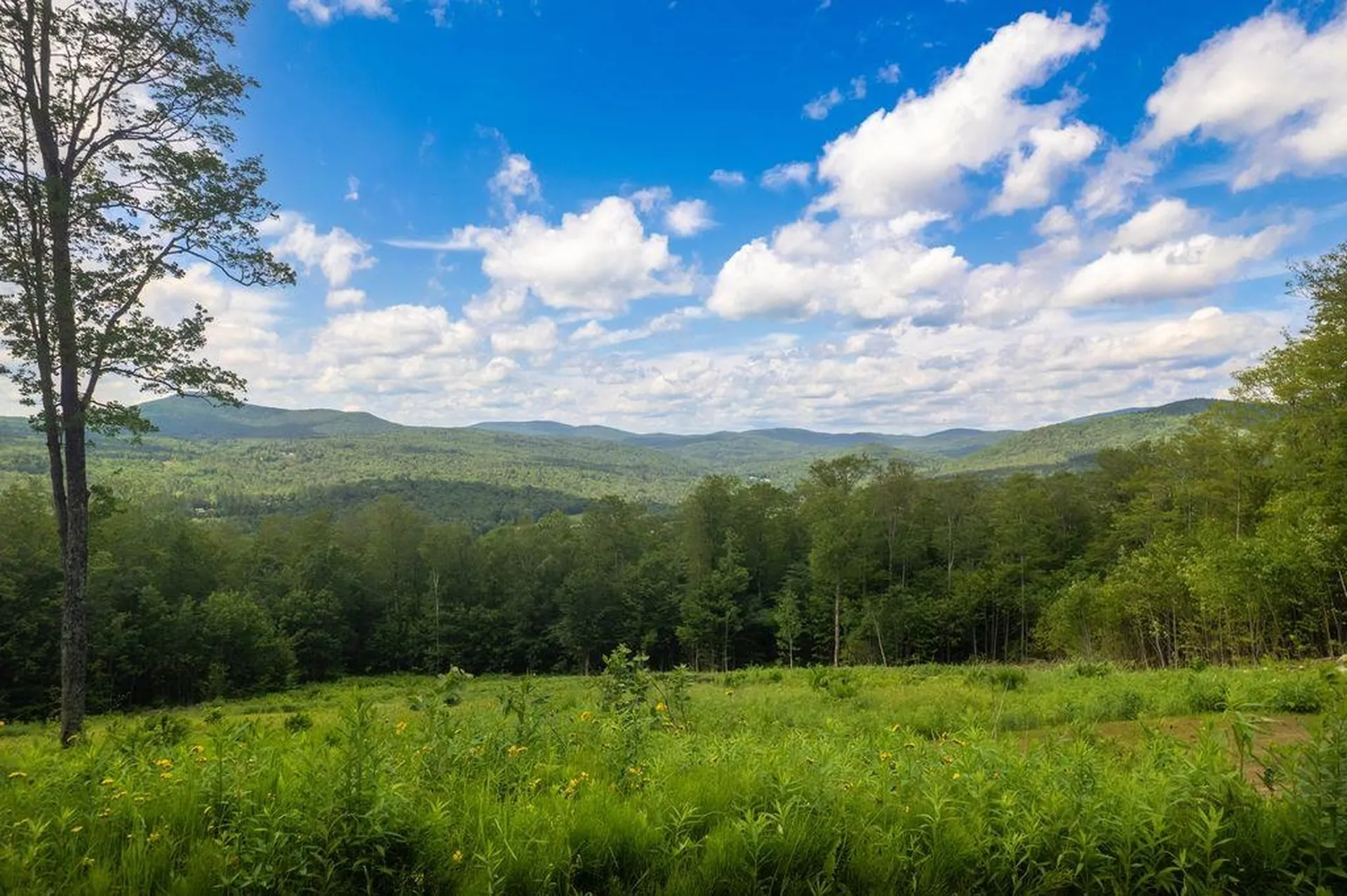 00 Markham Lane Weston VT 05161