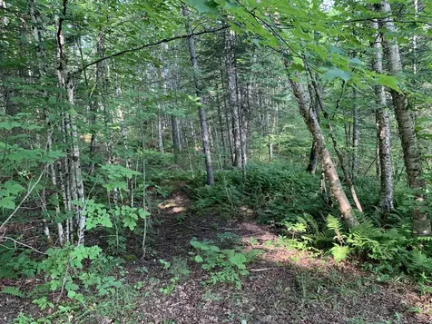 19 Cooke Road Stewartstown NH 03597