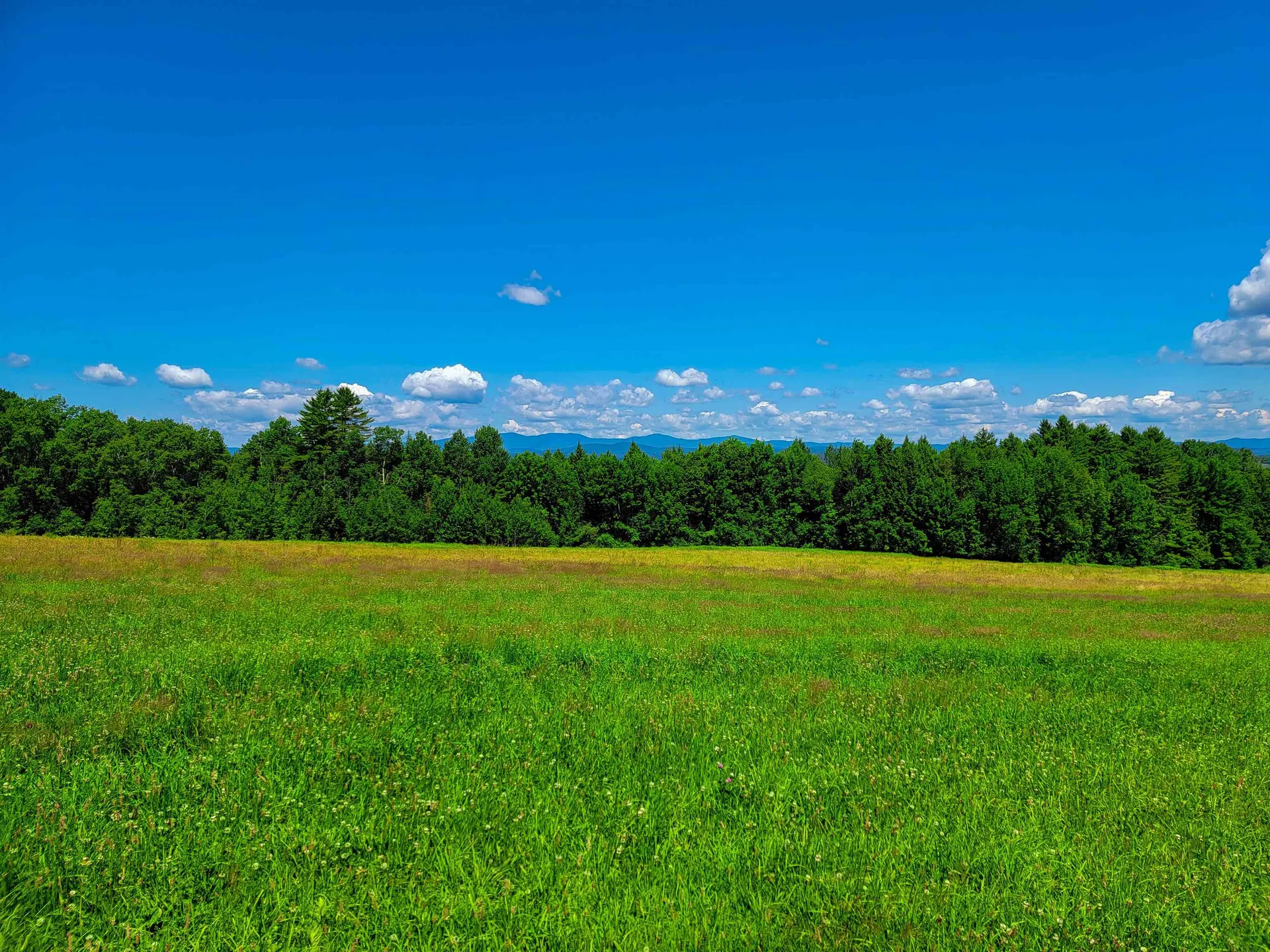 1300 Middle Road Plainfield VT 05667
