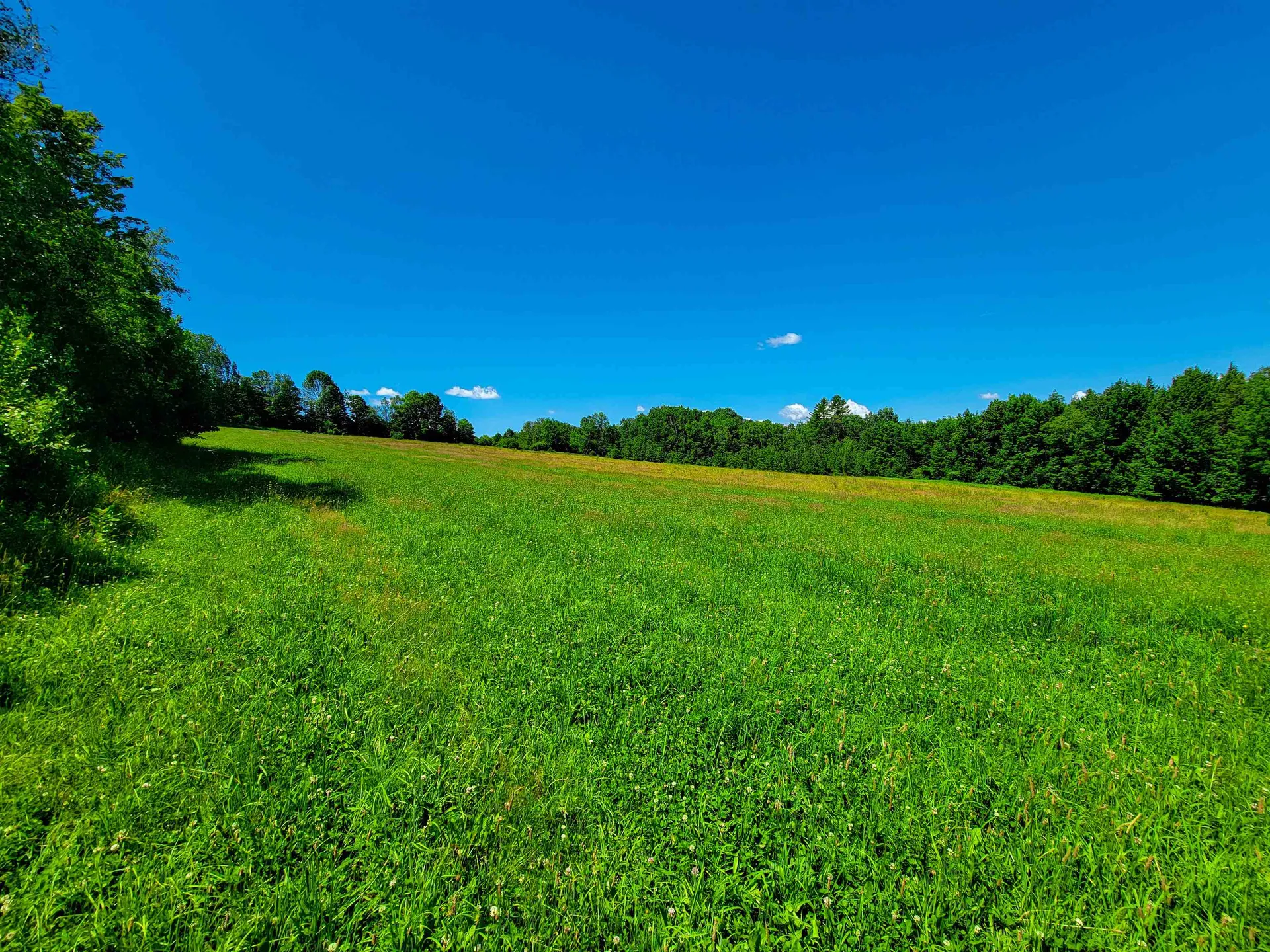 1300 Middle Road Plainfield VT 05667