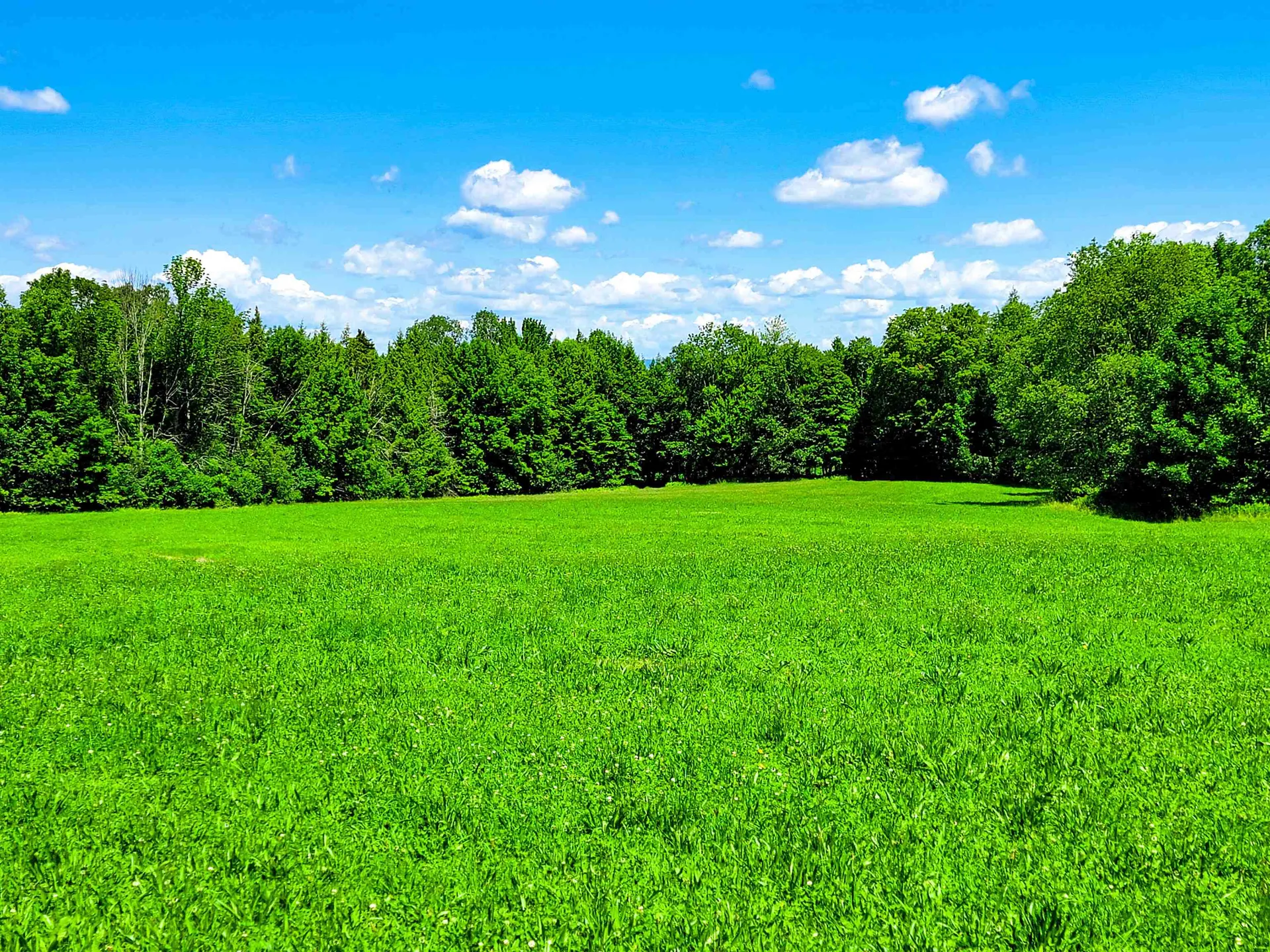 1300 Middle Road Plainfield VT 05667
