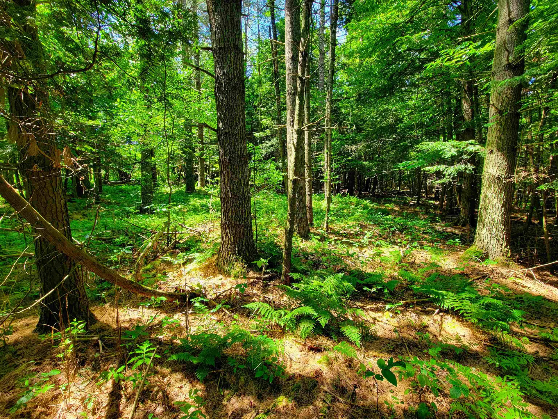 1300 Middle Road Plainfield VT 05667