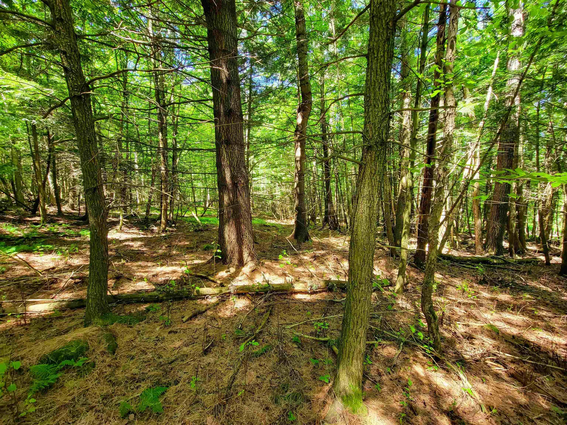 1300 Middle Road Plainfield VT 05667