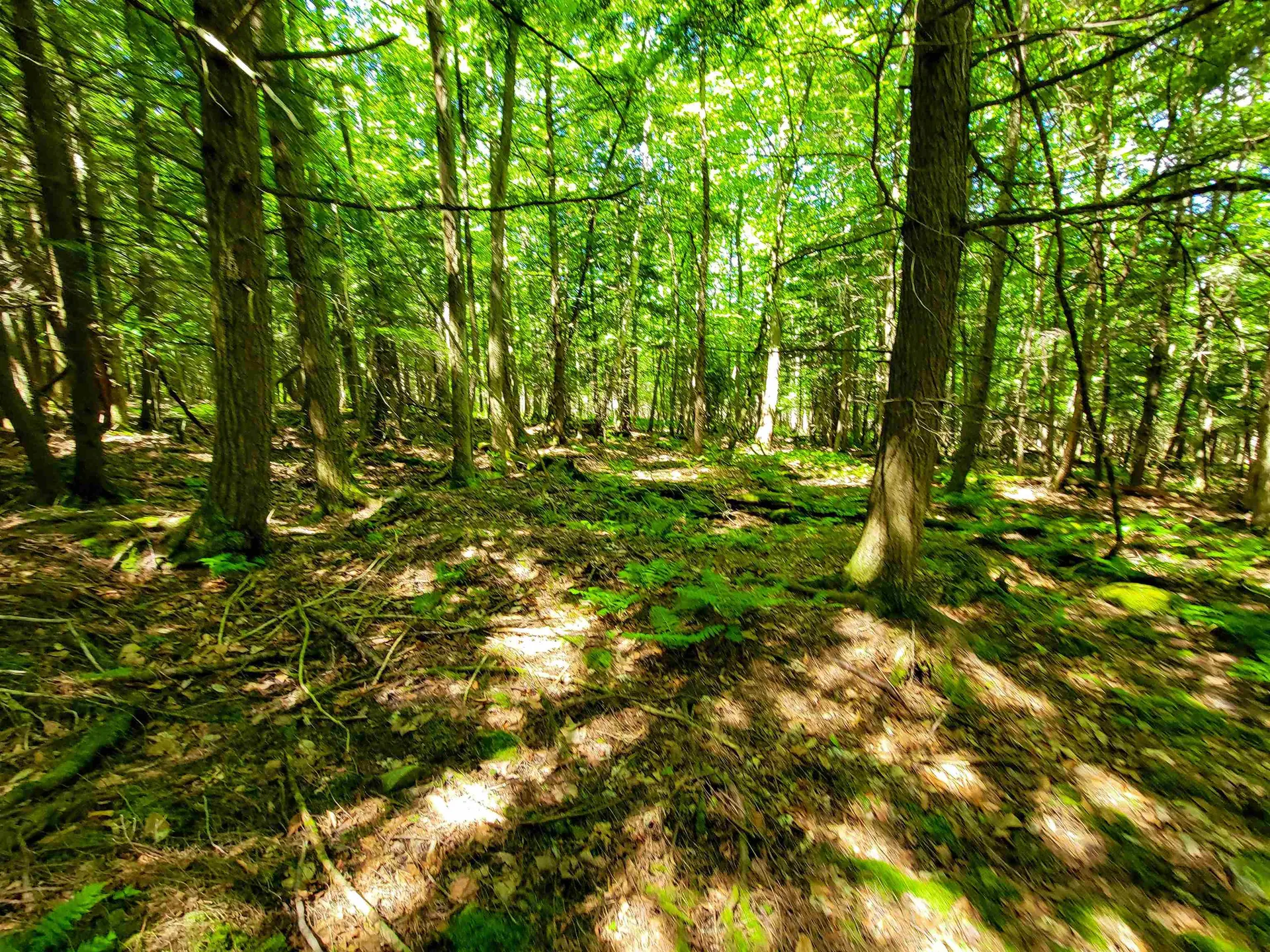 1300 Middle Road Plainfield VT 05667