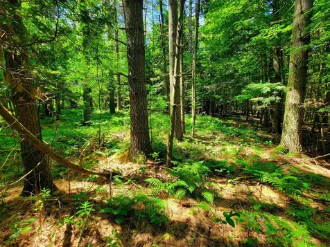 1300 Middle Road Plainfield VT 05667