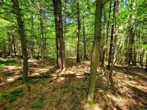 1300 Middle Road Plainfield VT 05667