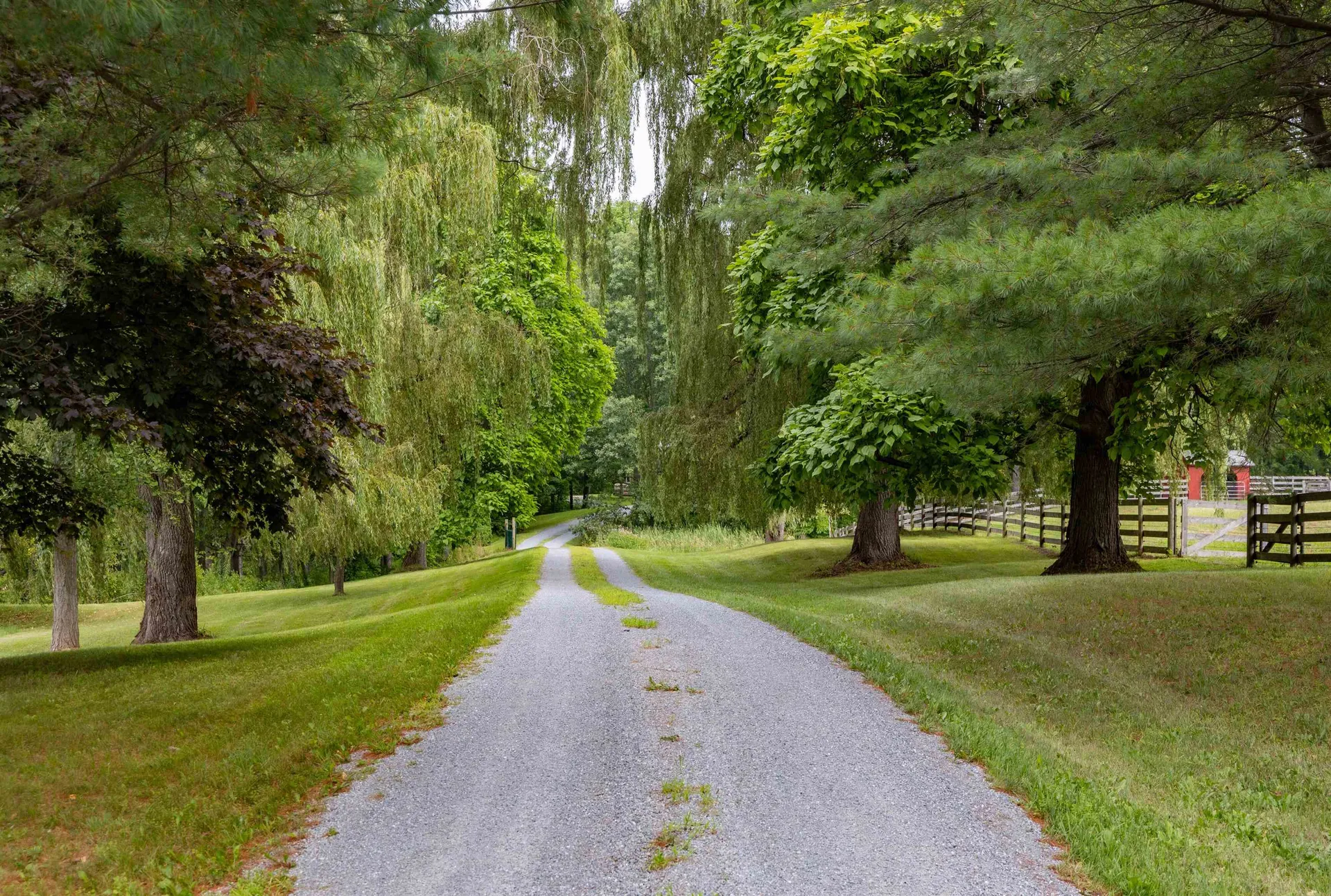 283 Higbee Road Charlotte VT 05445-0000