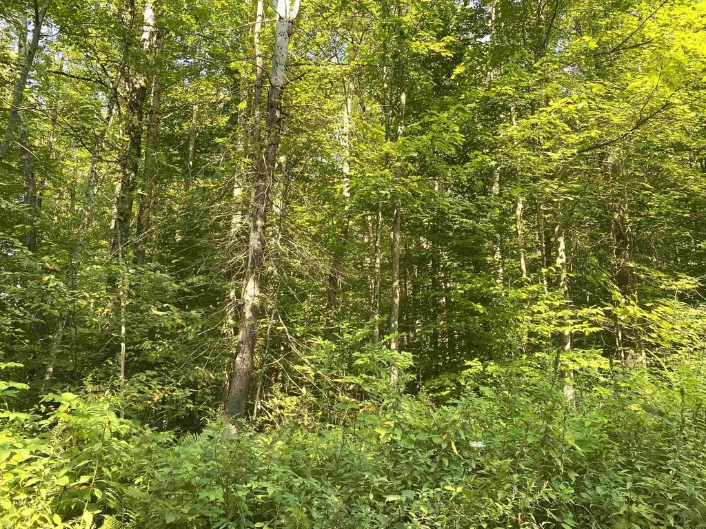 00 North Branch Road Ripton VT 05766