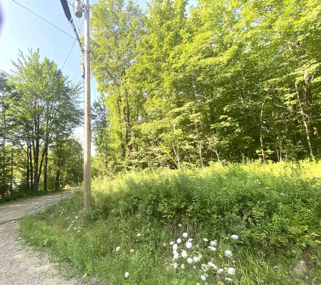 00 North Branch Road Ripton VT 05766