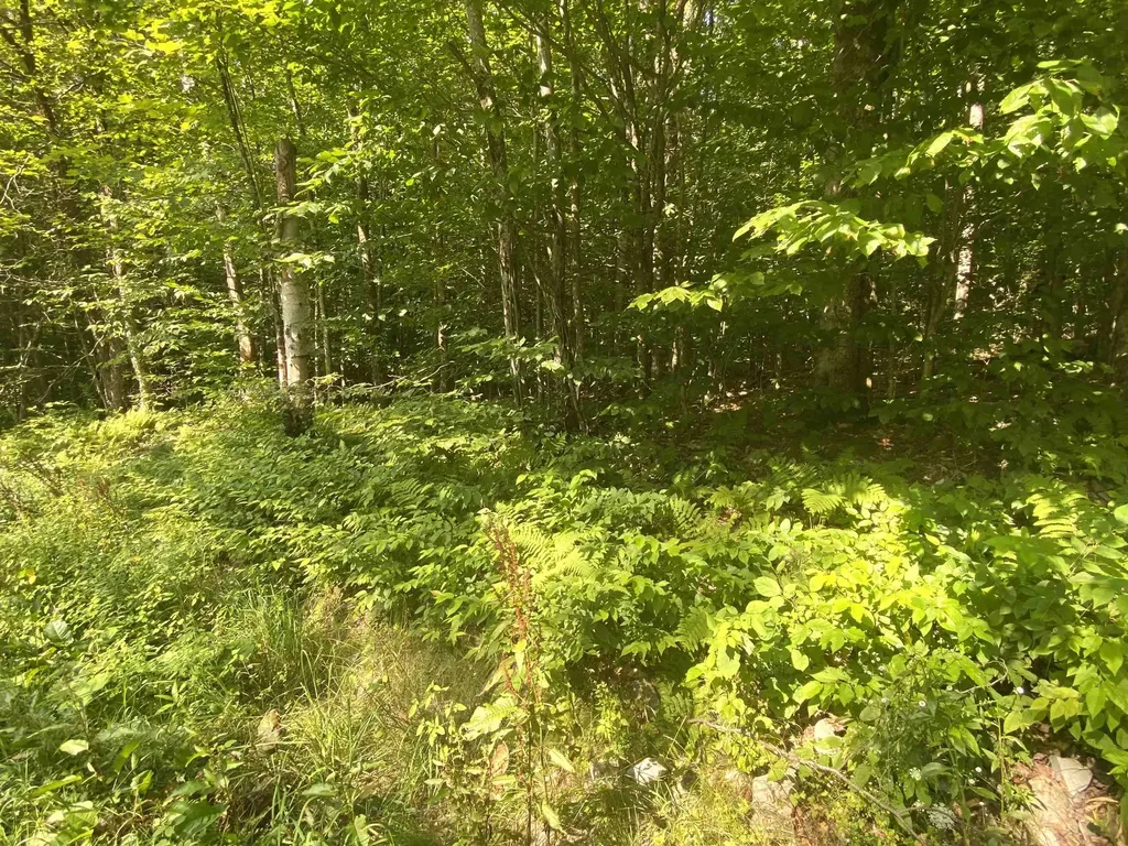 00 North Branch Road Ripton VT 05766