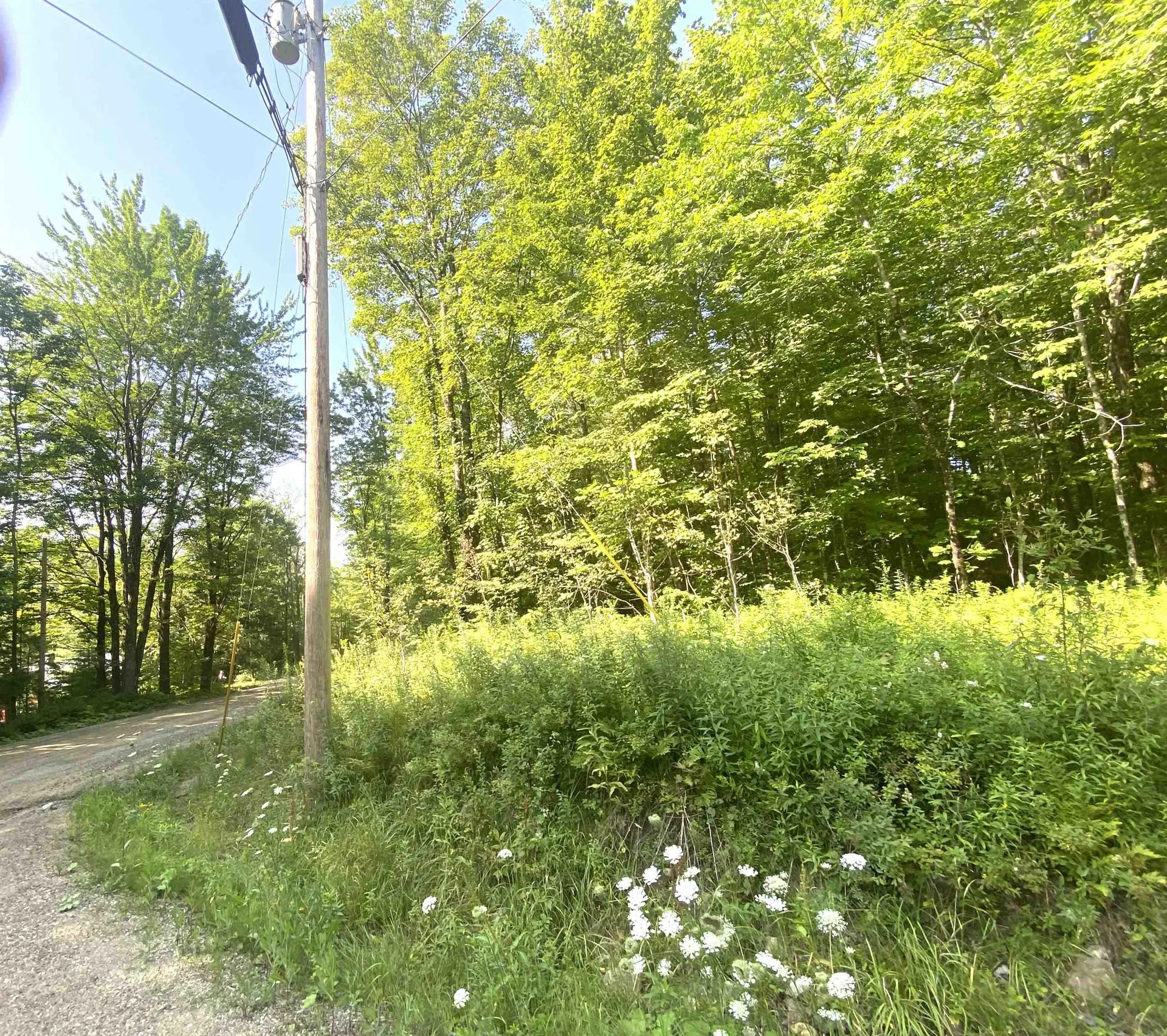 00 North Branch Road Ripton VT 05766