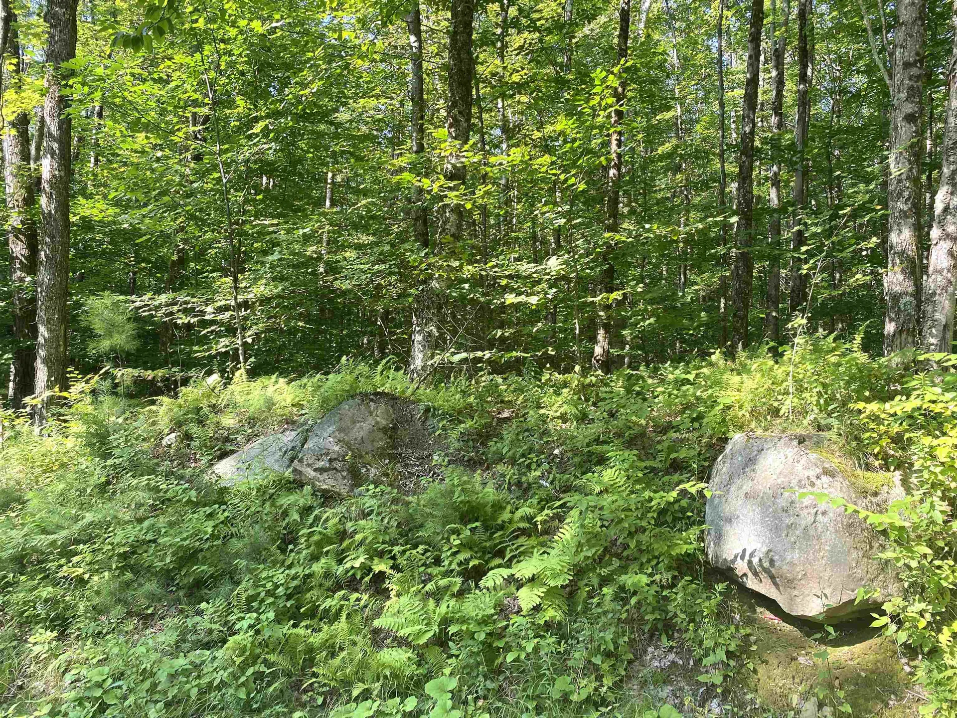 00 North Branch Road Ripton VT 05766