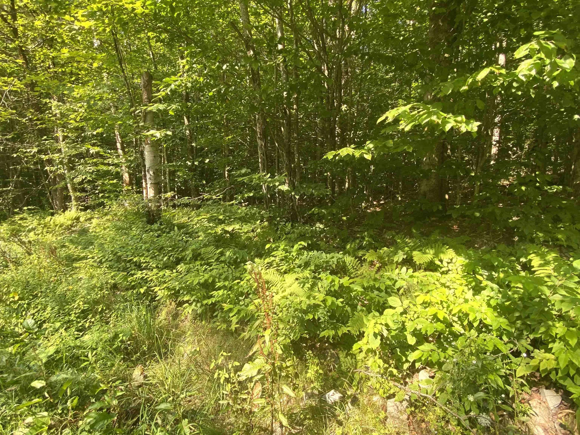 00 North Branch Road Ripton VT 05766