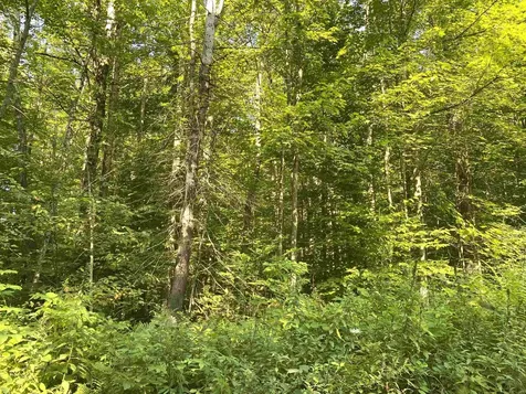 00 North Branch Road Ripton VT 05766