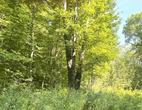 00 North Branch Road Ripton VT 05766