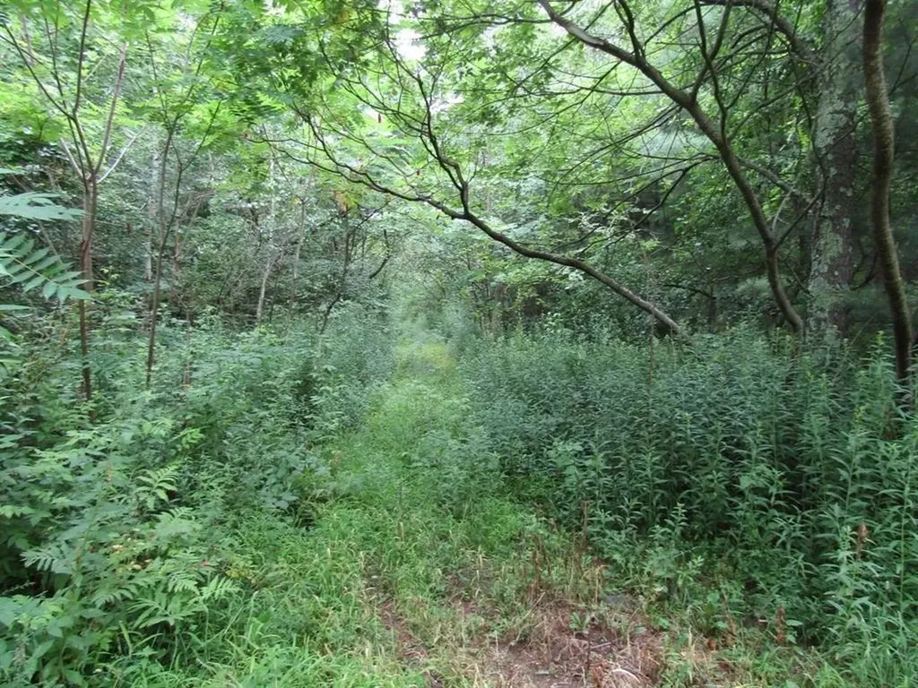 Lot 2 Champlain Commons St. Albans Town VT 05478