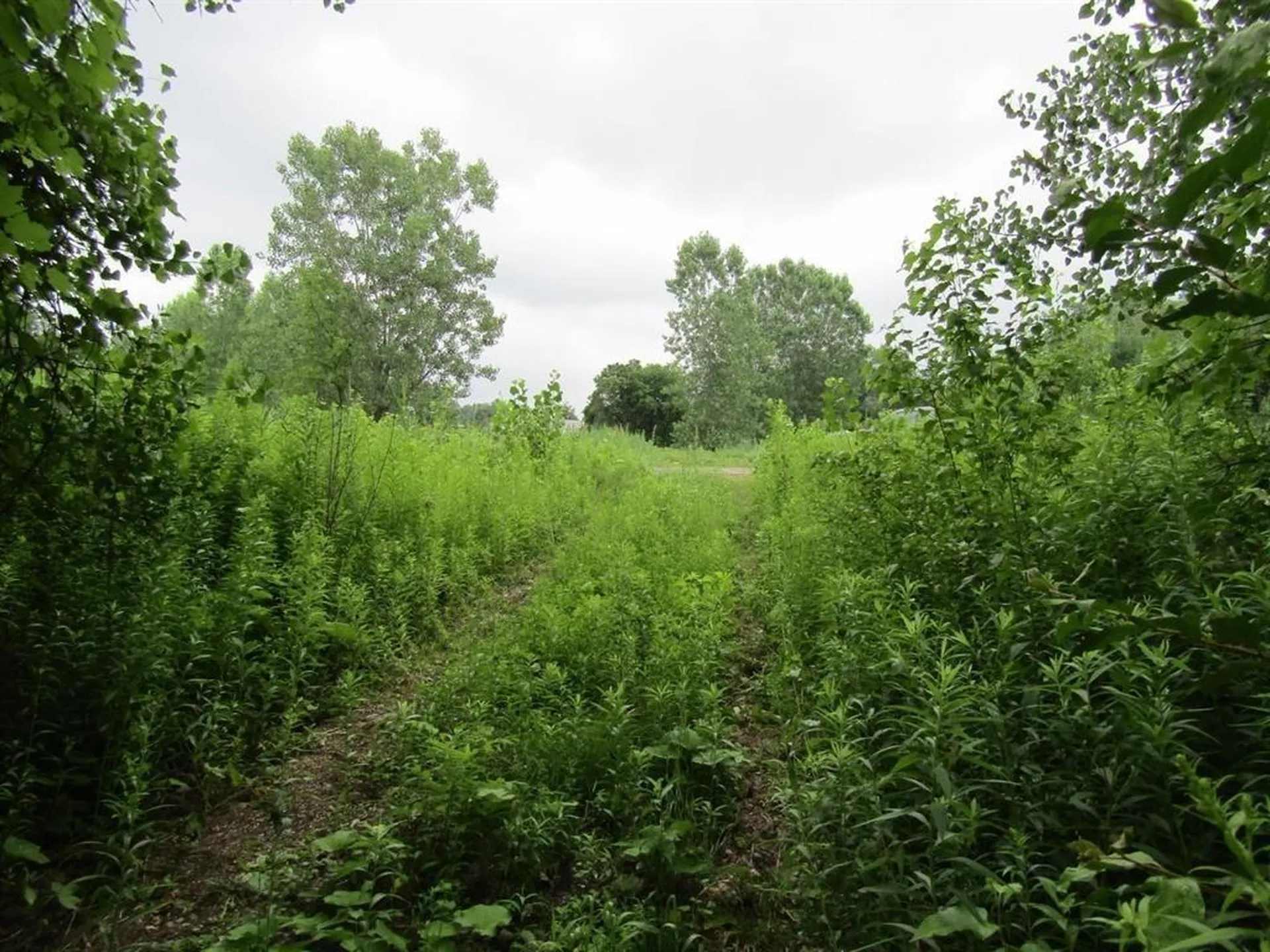 Lot 2 Champlain Commons St. Albans Town VT 05478