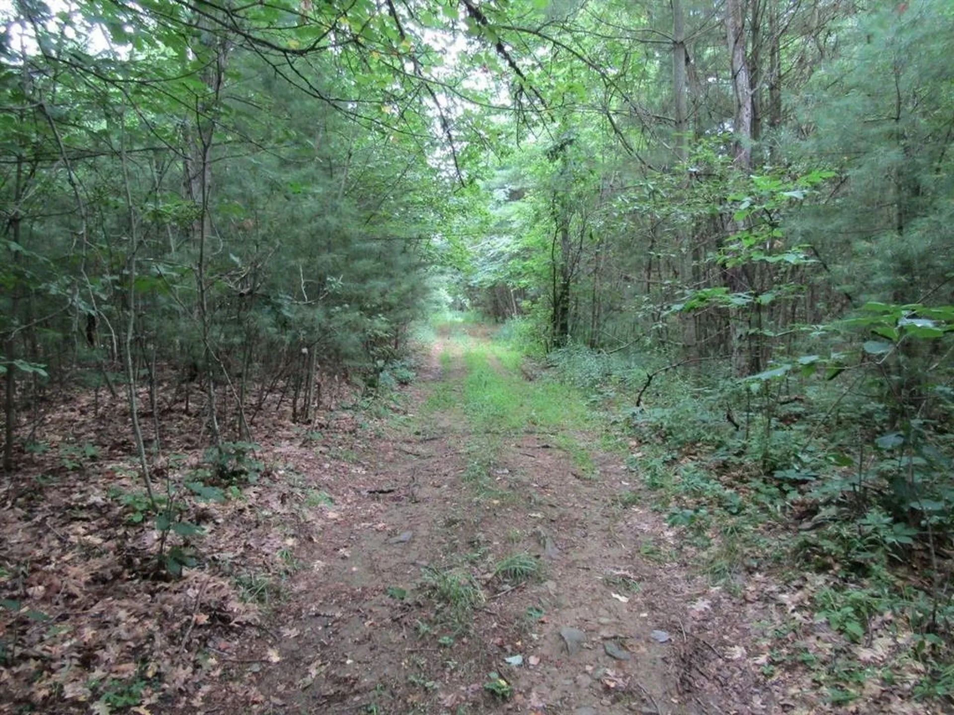 Lot 2 Champlain Commons St. Albans Town VT 05478