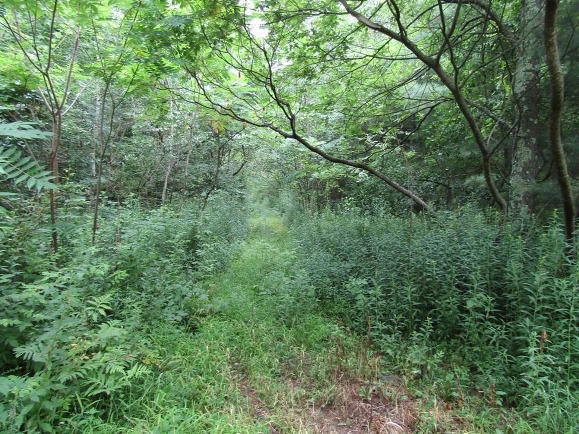 Lot 2 Champlain Commons St. Albans Town VT 05478