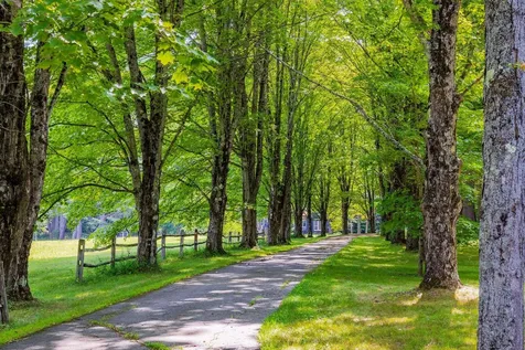 10 Bischoff Lane Hartland VT 05048