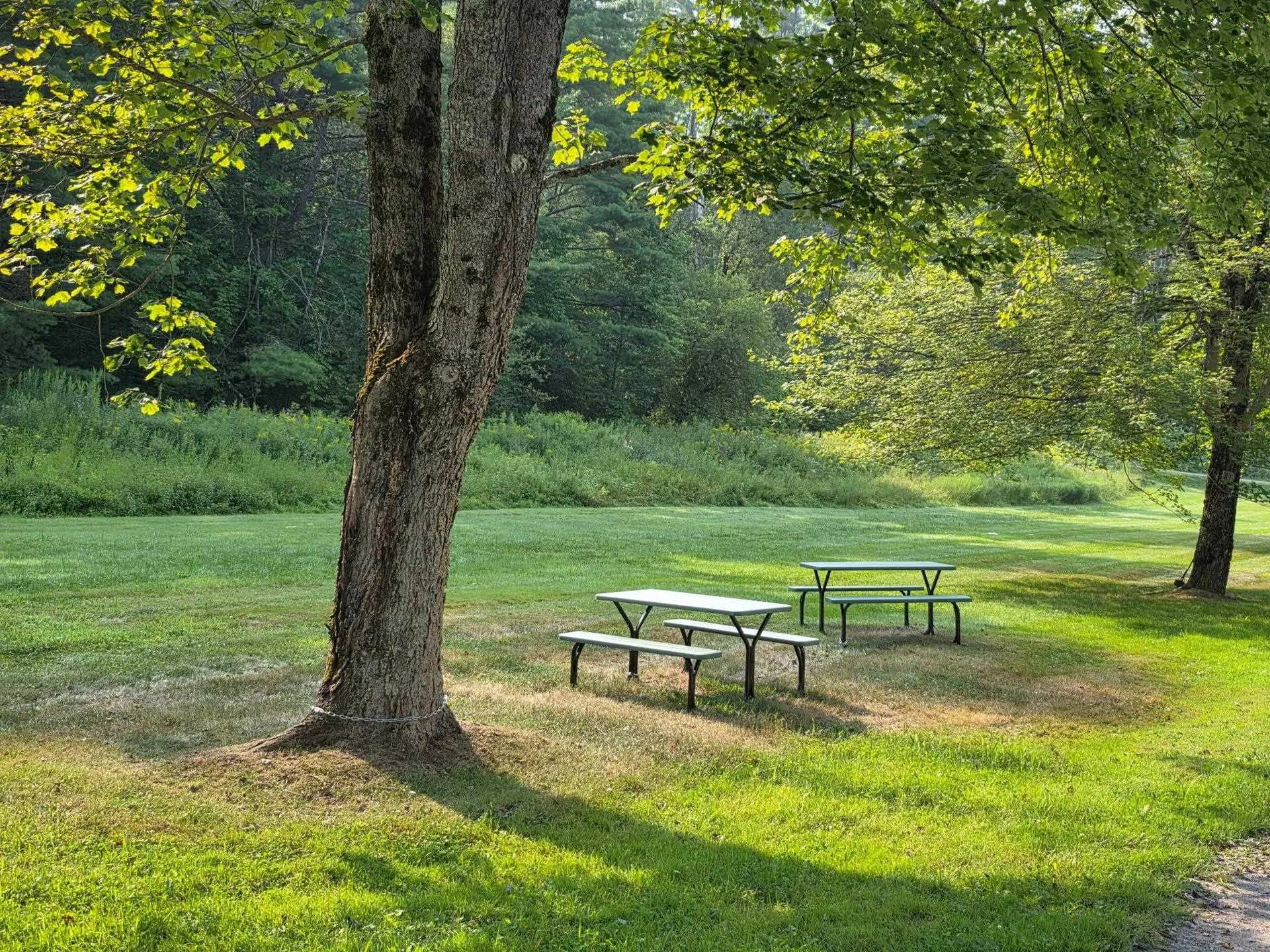 75 The Commons Moretown VT 05660